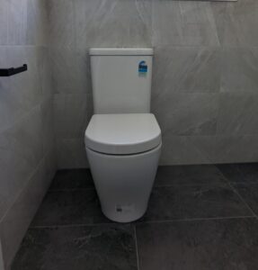 Professional Tap & Toilet Repair Services