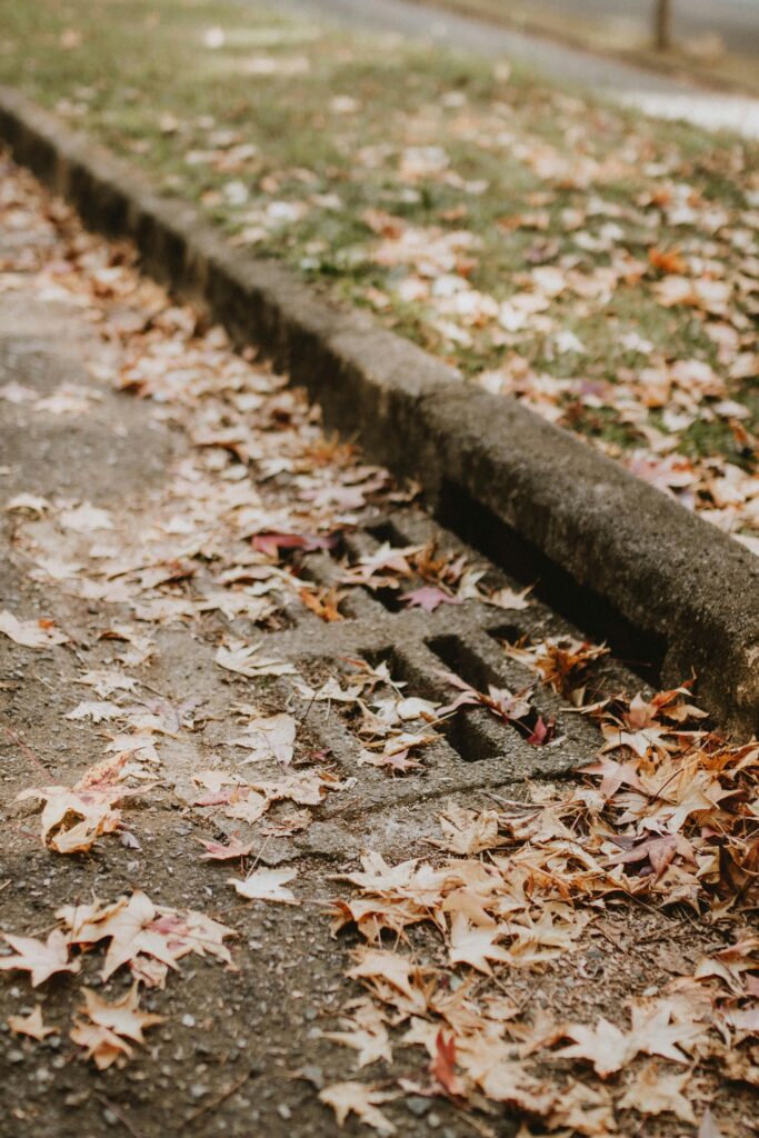 Blocked Drain Services