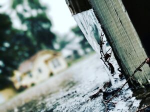Professional Blocked Sewer Drains and Stormwater Services