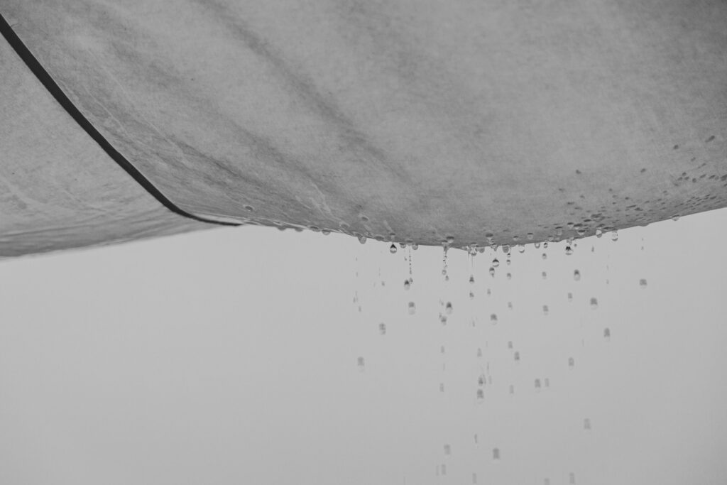 Leak Detection Services