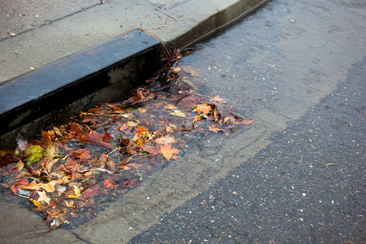 leaves stocked storm drain