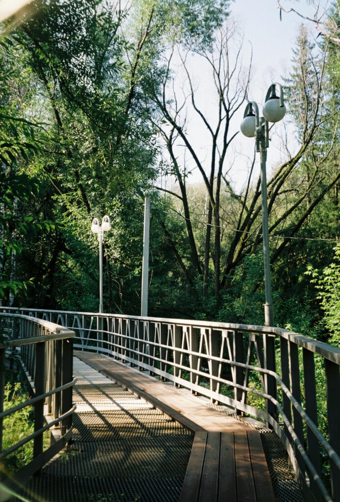 Park Lighting Services